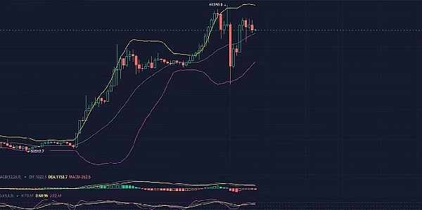 逆势突围：Tron如何在寒冬中绽放异彩
