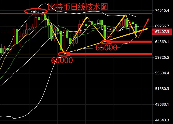 当NFT市场遇冷时：买家人数激增背后的真实信号