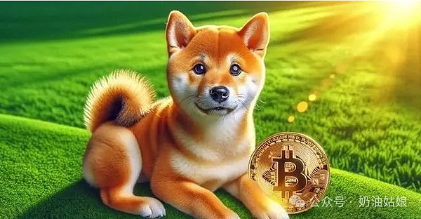 当马斯克都在抛售比特币，我们小散该怎么应对？
