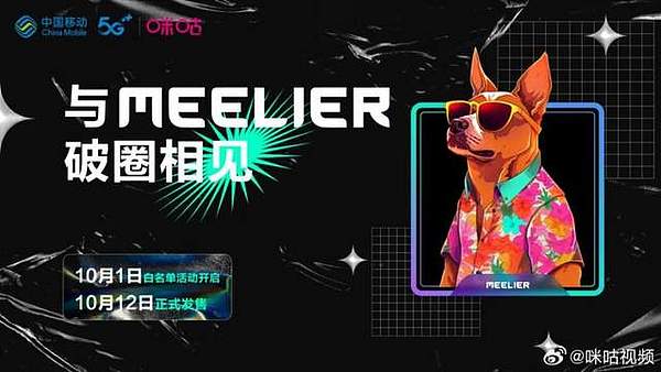 Solana的暴涨狂欢：昙花一现还是牛市前奏？